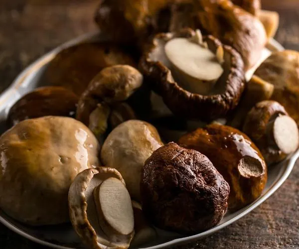 Antica Osteria Del Mirasole