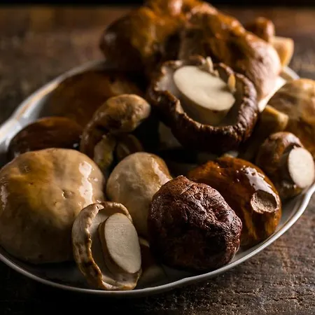 Antica Osteria Del Mirasole